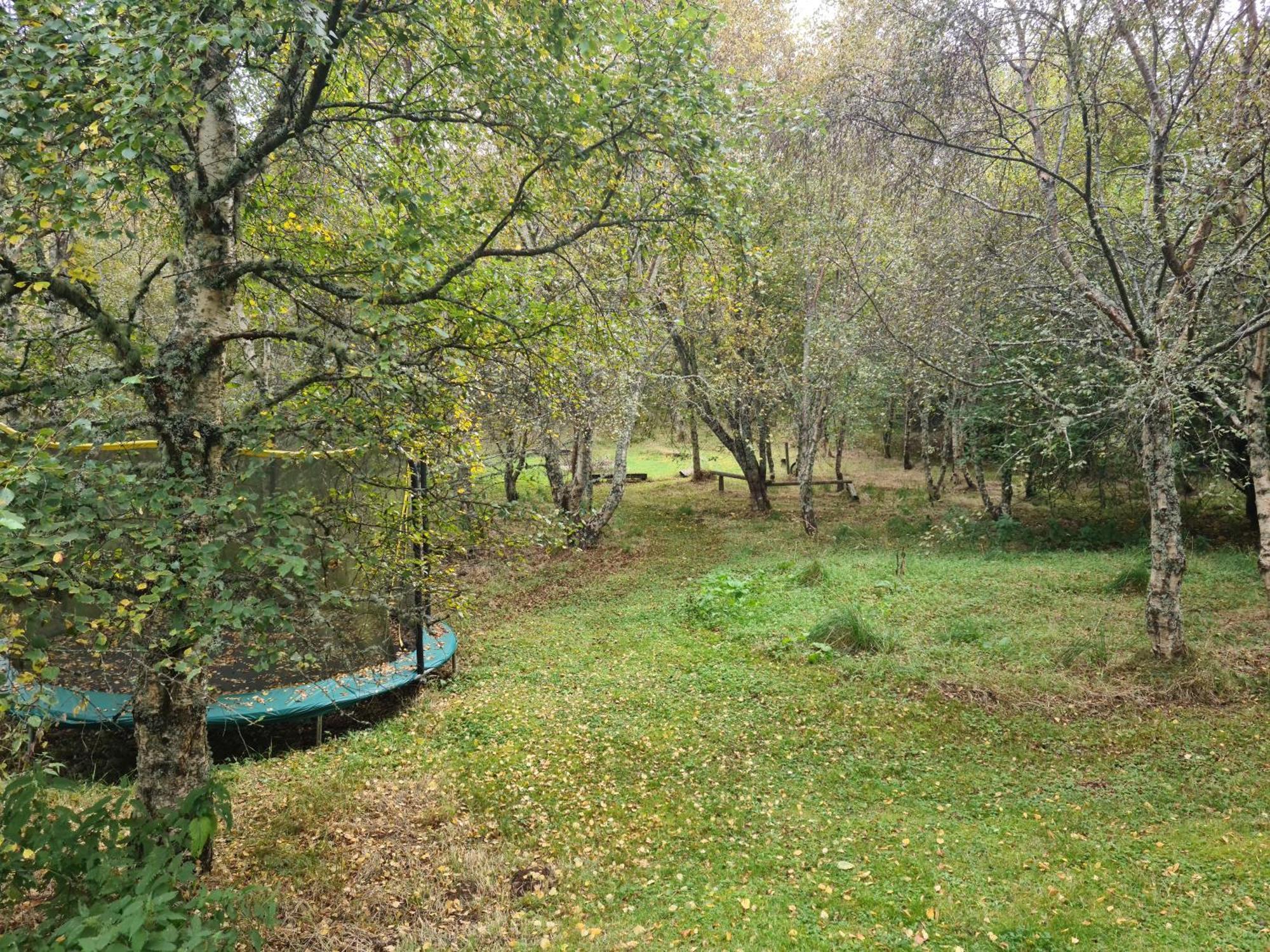 Spacious In Popular Rural Area *